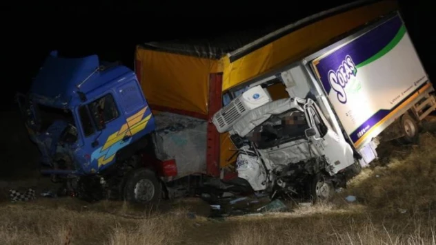 Tır ile kamyonet kafa kafaya çarpıştı: 2 ölü