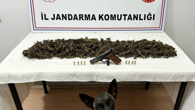 Tokat'ta bir araçta 2 kilo 300 gram esrar ele geçirildi
