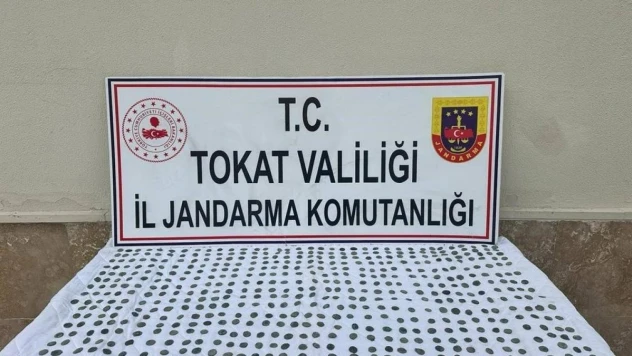 Tokat'ta Selçuklu dönemine ait 620 adet sikke ele geçirildi