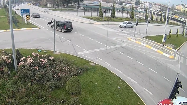 Tokat'taki kazalar kameralara yansıdı