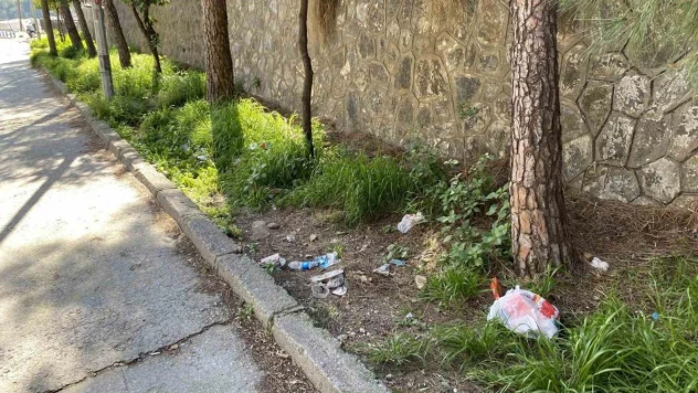 Topyatağı değil 'çöpyatağı' varyantı