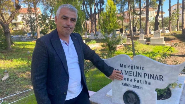 Türkiye'de sokak hayvanlarıyla ilgili acı tablo: 21 ayda 40'ı çocuk 92 kişi hayatını kaybetti