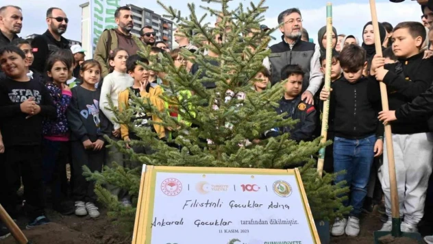 Ülke genelinde oluşturulan 2023 fidan dikim yerinde 5 milyon 2023 fidan toprakla buluşturuldu