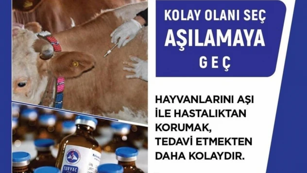 Uşak Tarım ve Orman Müdürlüğü'nden şap aşısı uyarısı