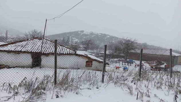 Uyarılar gerçeğe dönüştü: Edirne'de kar yağışı başladı