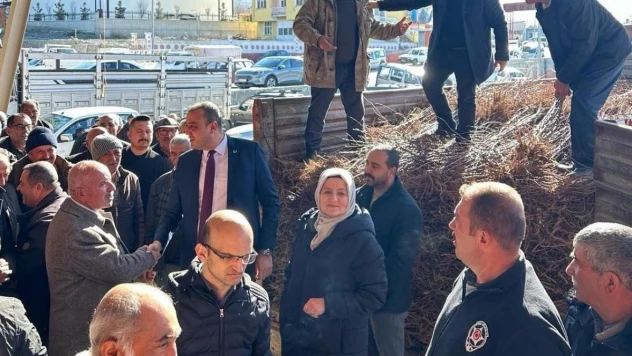 Üzümlü'de 12 bin adet kayısı fidanı çiftçilere dağıtıldı