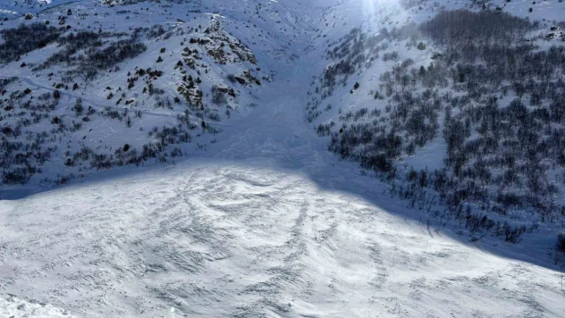 Van-Çatak'ta çığ kabusu: Yol 4 gündür kapalı