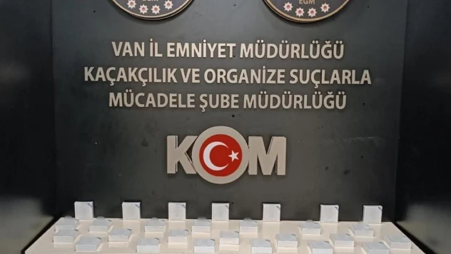 Van'da gümrük kaçakçılığı operasyonu