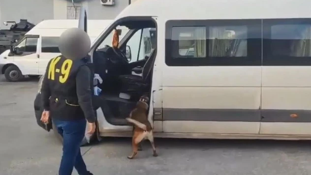 Van'da gümrük kaçakçılığı operasyonları