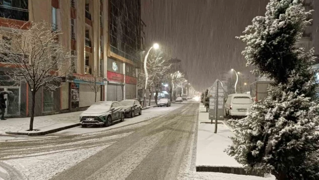 Van'da kar yağışı