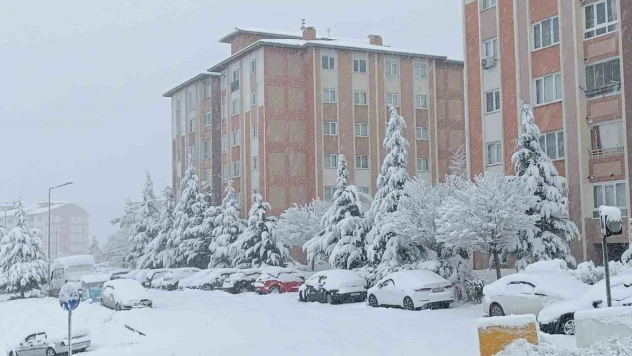 Van'da karla gelen güzellik