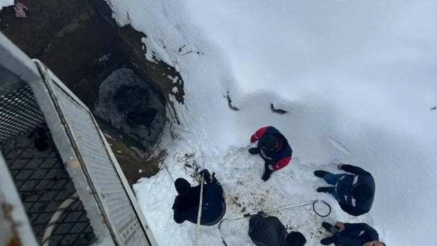 Van'da kuyuya düşen köpeği itfaiye ekipleri kurtardı