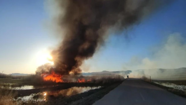 Van Gölü Havzası'ndaki sulak alanlar tehlikede