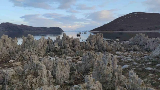 Van Gölü'ndeki çekilmeyle ortaya çıkan mikrobiyalitler balıkçılar için tehlike oluşturuyor