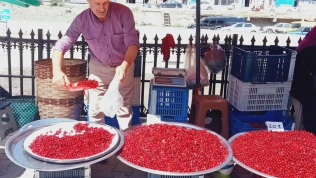 Vitamin deposu kızılcık tezgahlarda yerini aldı