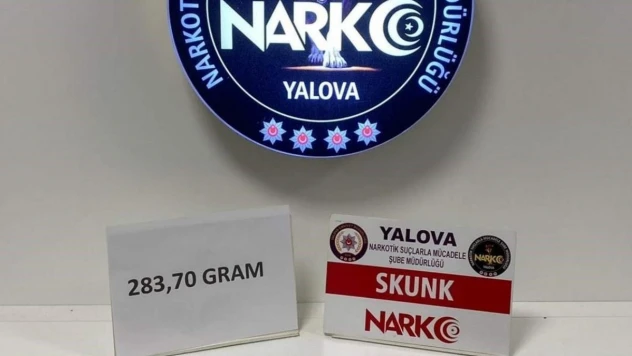 Yalova'da uyuşturucu operasyonu: 1 tutuklama