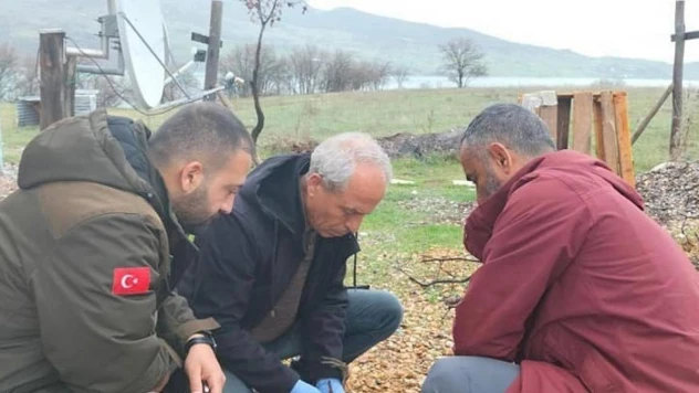 Yaralı gri balıkçıl kuşu, tedavi altına alındı