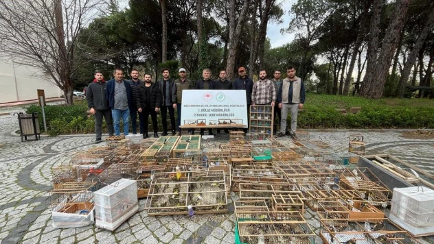 Yasa dışı yakalanarak ticareti yapılan 902 kuş doğaya bırakıldı