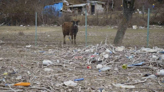 Yıllardır baraja atılan çöpler nedeniyle başları dertte
