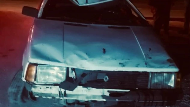 Yola çıkan köpek kazaya neden oldu