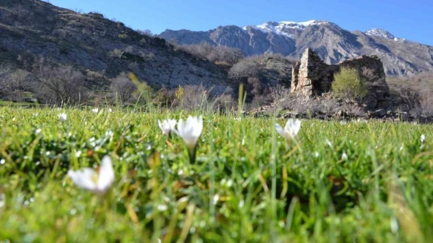 Yüksek kesimlerde kar yağarken, alçak bölgelerde ise çiçek açtı