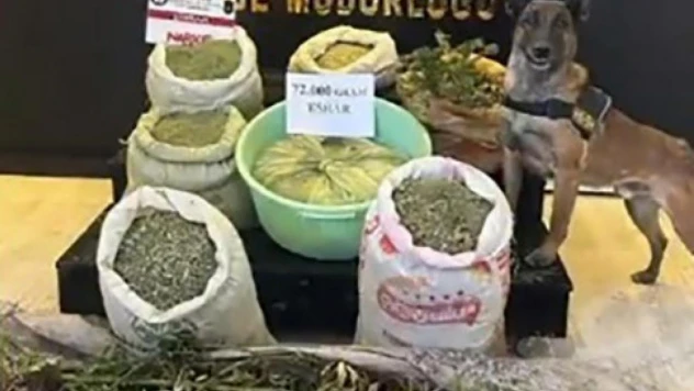 Yüksekova'da 72 kilo esrar 90 kök kenevir ele geçirildi