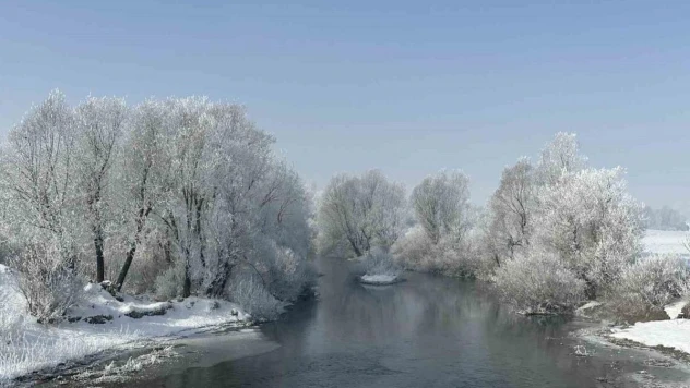 Yüksekova'da ağaçlar kırağı tuttu