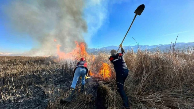 Yüksekova'da Nehil Sazlığı'nda yangın