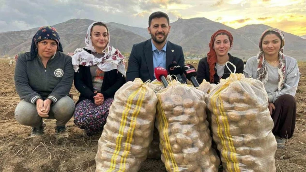 Yüksekova'nın toprağından bereket fışkırıyor: Ton ton patates elde edildi