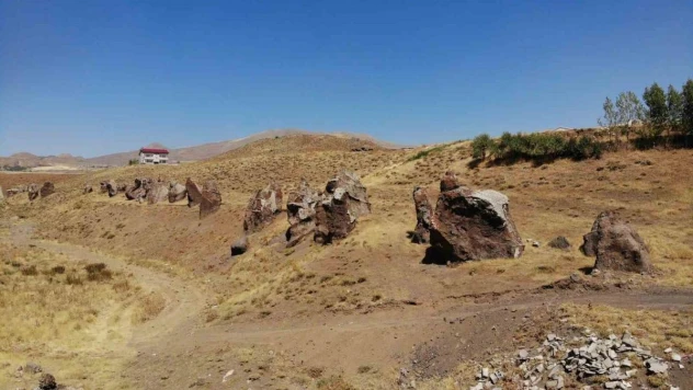 Yüzlerce yıllık 'Nemrut Develeri' bir bir yok oluyor