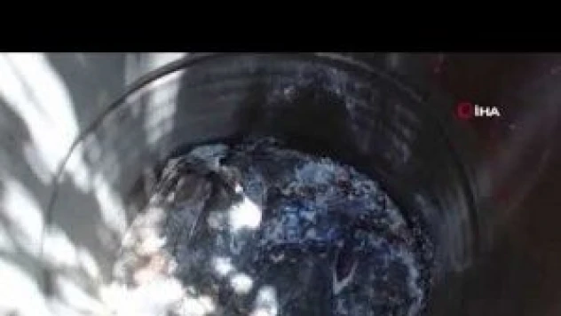 Pınar Gültekin'in katiline ağırlaştırılmış müebbet