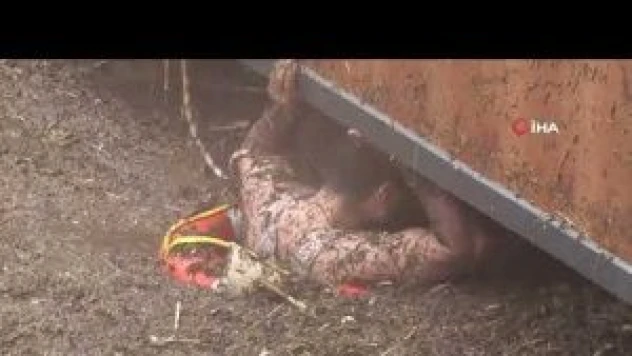 Şanlıurfa'da 2 itfaiye eri selden yüzerek kurtuldu