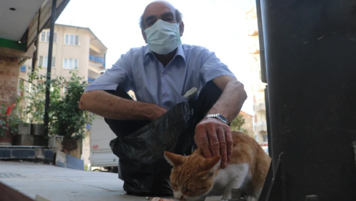Malatya'da 20 yıl, 200 kedi
