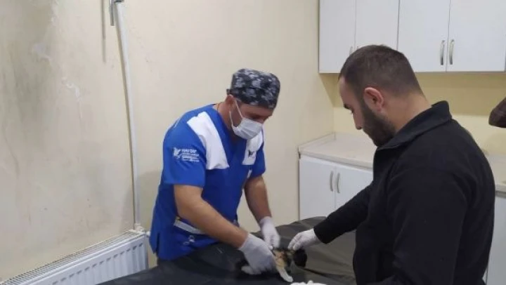 Polisten kediye şefkat