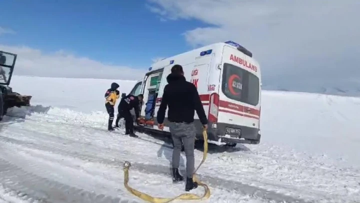 Malazgirt'te ambulans yoldan çıktı