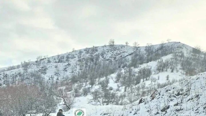 Muş'ta 8 avcıya 40 bin 476 TL idari para cezası uygulandı
