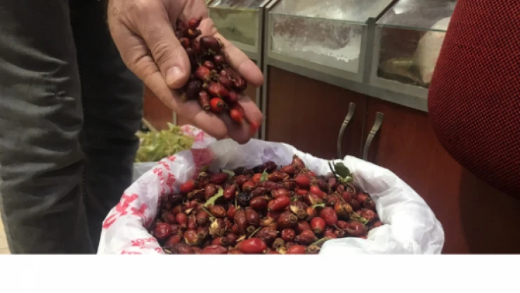 Akdeniz'deki yangınlar bitki çaylarının fiyatına yansıdı