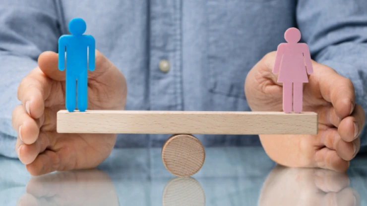 'Anayasa, biyolojik cinsiyetten bağımsız bir cinsiyet yaratmaz'