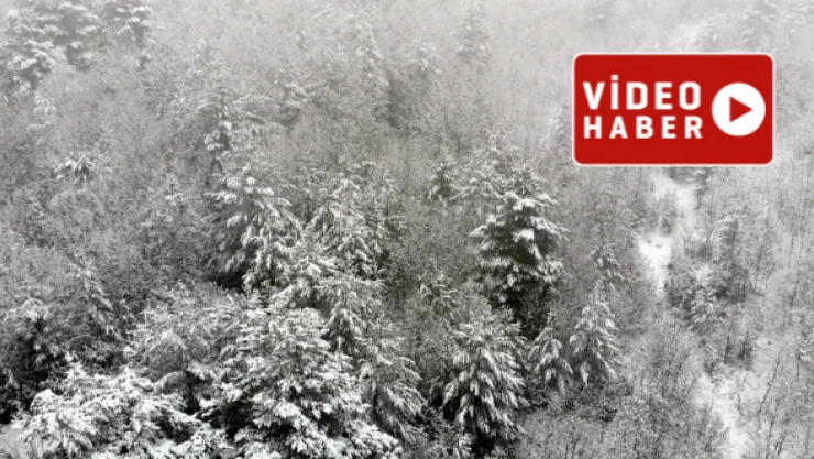 Doğu soğuk havanın etkisi altında