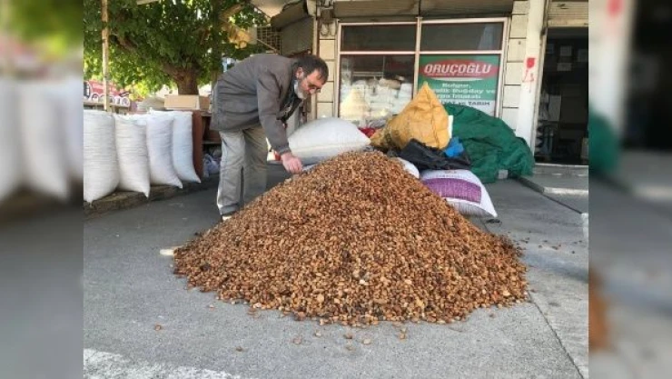 Erzincan'dan Malatya'ya acı kayısı çekirdeği gönderiliyor