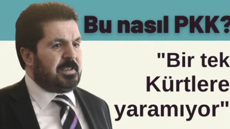 Savcı Sayan: 'Bu nasıl PKK?'