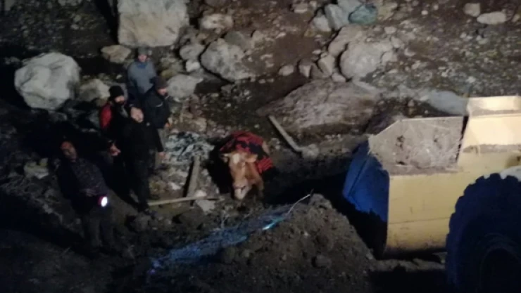 Dağdan dereye yuvarlanan inek böyle kurtarıldı