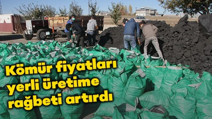 İthal kömür fiyatı artınca yerli kömüre rağbet arttı