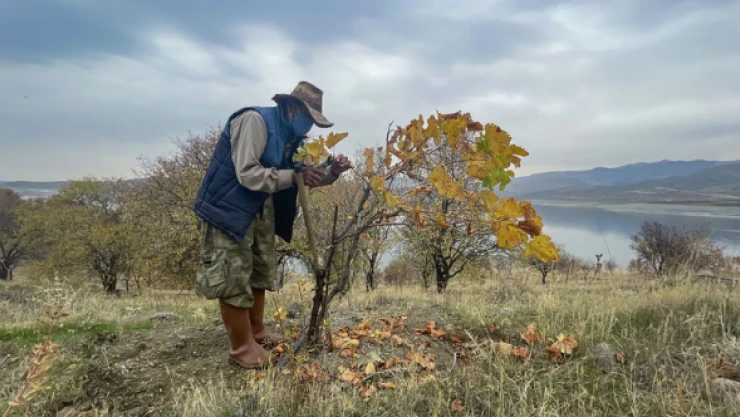 Robinson Ziya 'fidan dikin' çağrısı yaptı