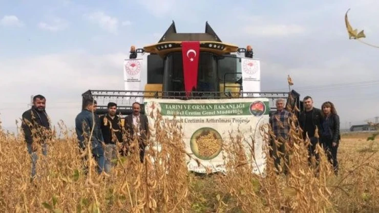 Silopi'de soya fasulyesi yetişecek!