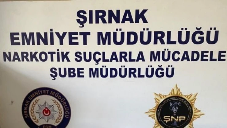 Şırnak'ta terörün finans kaynaklarına operasyon: 34 gözaltı