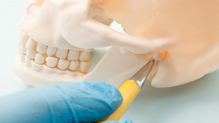 Zayıflama da yeni yöntem 'çene kitleme'