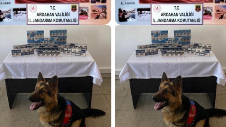 Kaçak sigara operasyonu