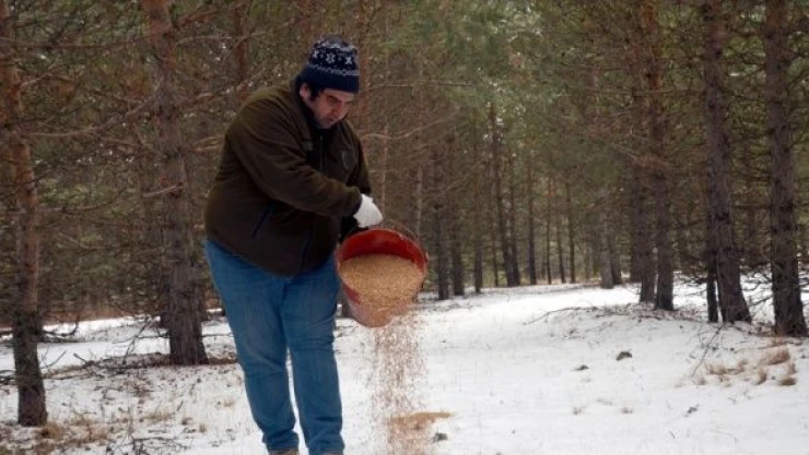 Yaban hayvanları çetin kışta unutulmadı