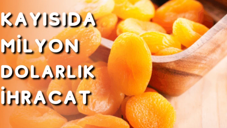 Malatya'dan milyon dolarlık kayısı ihracatı